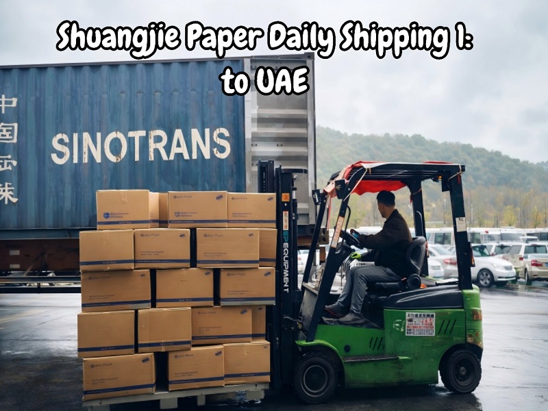 Shuangjie Chartae naves plenae vasis Airlaid mappis ad UAE ex Ningbo Portus
